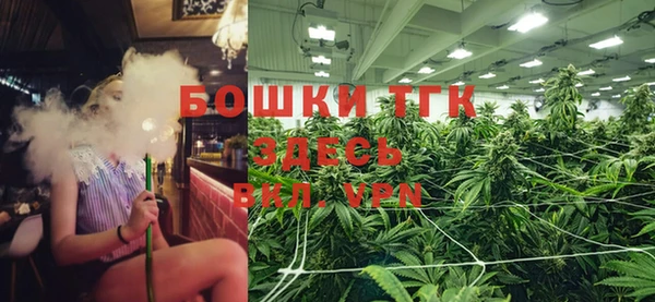 спиды Кинешма