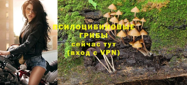 стаф Киреевск